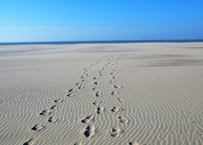 La Perle D'ostende Apartment *