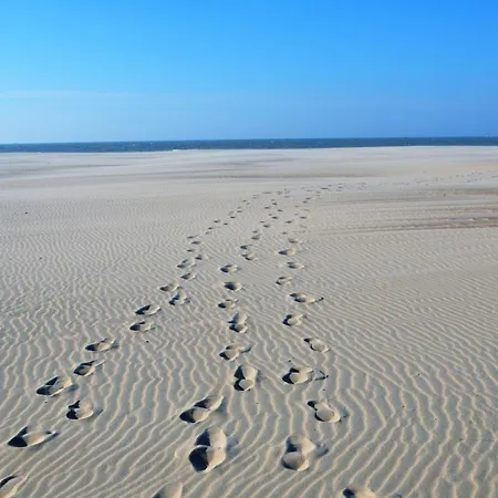 La Perle D'ostende Διαμέρισμα *